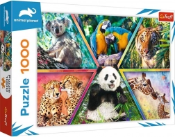 1000 darabos puzzle – az állatok királysága ANIMAL PLANET
