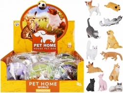 oktató állatok – kutyák és macskák kártyával és fajnévvel