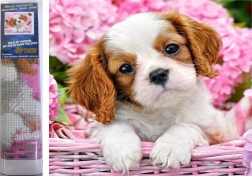 Gyémántszemű festés kiskutyával rózsaszín kosárban 30 × 40 cm