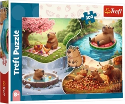 300 darabos puzzle – Négy évszak kapibarákkal