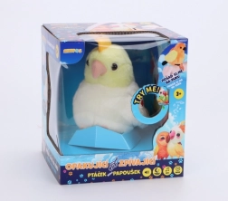 Ismétlő és éneklő papagáj játék STEPPOS