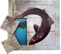 Just Jigsaws Lazac és életciklusa - fa réteges puzzle