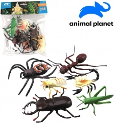Állatkák Rovarok 6 db 10 cm az Animal Planettől