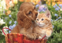 Maxi puzzle 104 darabból – Aranyos barátok CLEMENTONI