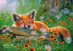 Puzzle 500 darabos – Foxy Dreams