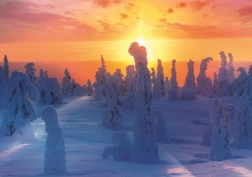 Puzzle Finn természet 1000 darab