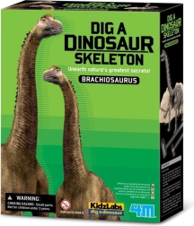 Ásatási készlet - Brachiosaurus