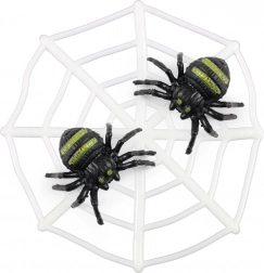 Hálószövet pókokkal