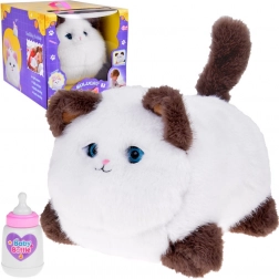 Interaktív cicuska Puszek - nyávog, dorombol és mozgatja a szemét