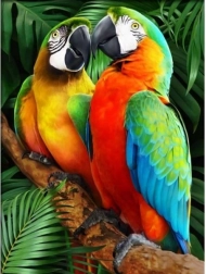 Gyémántmozaik (diamond painting) Színes arák 30 × 40 cm
