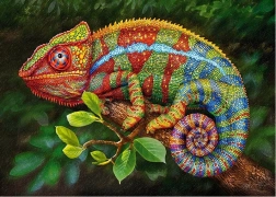 Cherry Pazzi Puzzle Chameleon 1000 darab