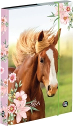 A5-ös füzetdoboz ló mintával