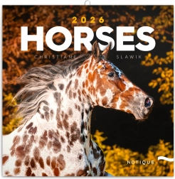 Jegyzetnaptár Lovak Christiane Slawik 2026