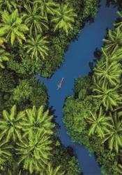 Puzzle trópusi kilátással madártávlatból