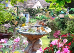 Puzzle Nyári madarak 1000 darab