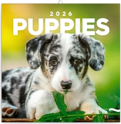 Jegyzetfüzet Naptár Kölykök 2026