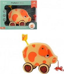 Malac a kötél végén