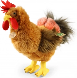 Rappa plüss kakas 33 cm, környezetbarát