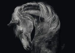 Puzzle Lóerő 1000 darab