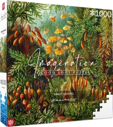 Puzzle Imagination: Ernst Haeckel - Muscinae 1000 darabos