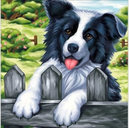 Gyémánt kirakó (diamond painting) „Kutya a kerítésen” kép 30 × 30 cm – 1 db