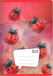 A5-ös füzet, 10 lap – vonalas 12 mm