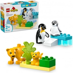 LEGO DUPLO vadállatcsaládok: pingvinek és oroszlánok
