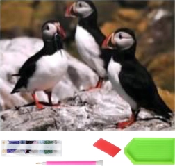 XXL gyémántfestés 120 × 60 cm – lundák, mozaikkészlet