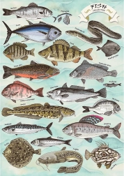 Puzzle TREFL Premium Plus Finders Keepers: halak 500 darab