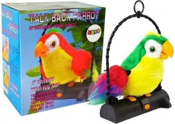 Pleciuga papagáj Szavakat ismétlő madár zöld