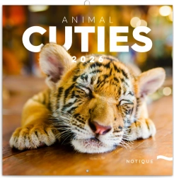 Jegyzet Naptár Kölykök 2026