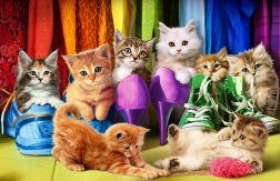 EUROGRAPHICS puzzle Macskai büszkeség 1000 darab