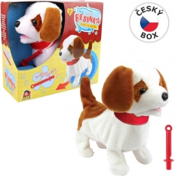 Besinka kutyus síppal