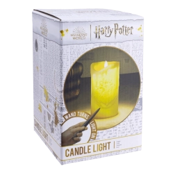 Harry Potter varázspálca zseblámpa