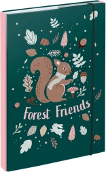 BAAGL A4-es iskolai füzetborítók mókussal