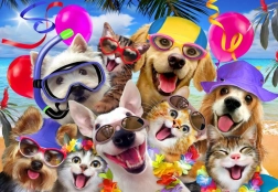 Alipson Puzzle Selfie Tengerparti parti 1000 darab