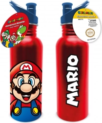 Super Mario Vizespalack
