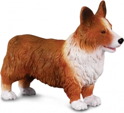 Figurás Welsh Corgi a CollectA-tól
