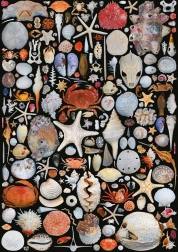 PIATNIK – Tengerparti jelenet 1000 darabos kirakó