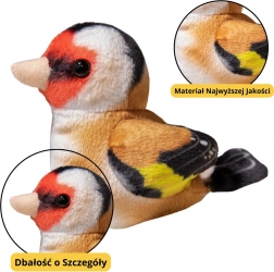 Kis Plüss Madárka Kék Cinege