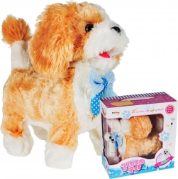 Távirányítós kutyus