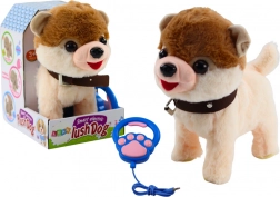 Interaktív kutyus pórázon