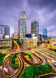 Puzzle Nisi-Sindzsuku negyed, Tokió 1000 darab