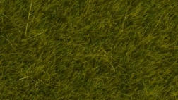 Statikus fű Vad rét 6 mm