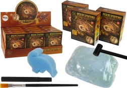 Őslények kiásása – meglepetés ammonitesz