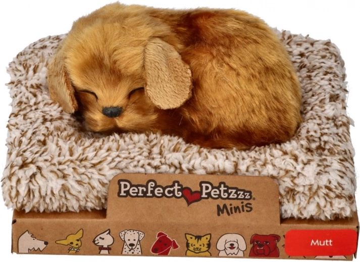 Kis kutyus Perfect Petzzz