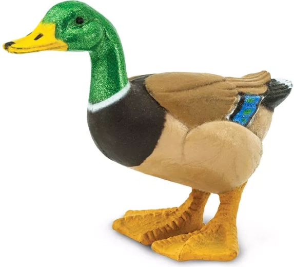 Vadkacsa (figura) Safari Ltd. - 1 db