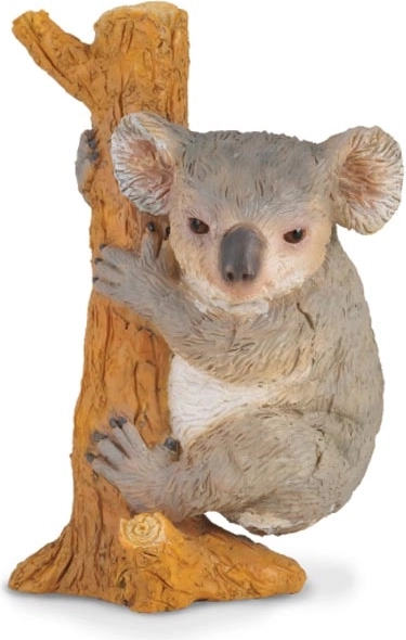 Koala a fán