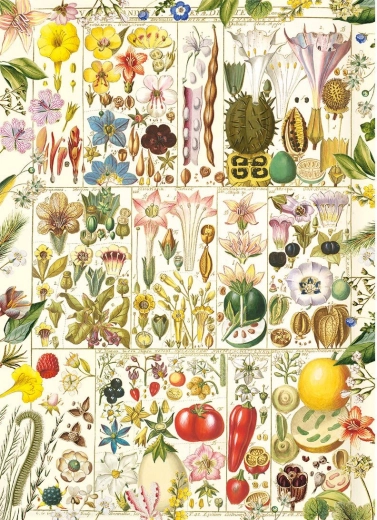 Puzzle Botanikai boldogság 1000 darab