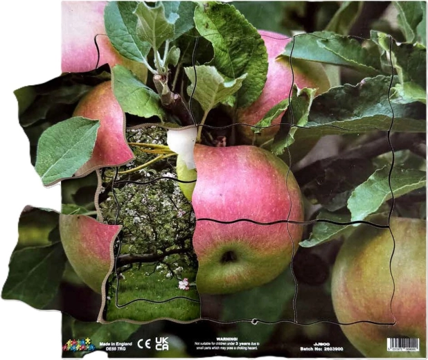 Just Jigsaws Alma és vegetatív növekedési szakaszai – fa réteges puzzle, 19 darab
